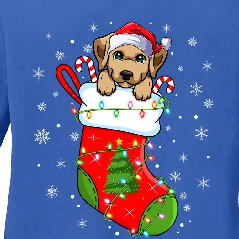 Labrador Retriever Dog In Christmas Socks Santa Xmas Meaningful Gift Ladies Long Sleeve Shirt