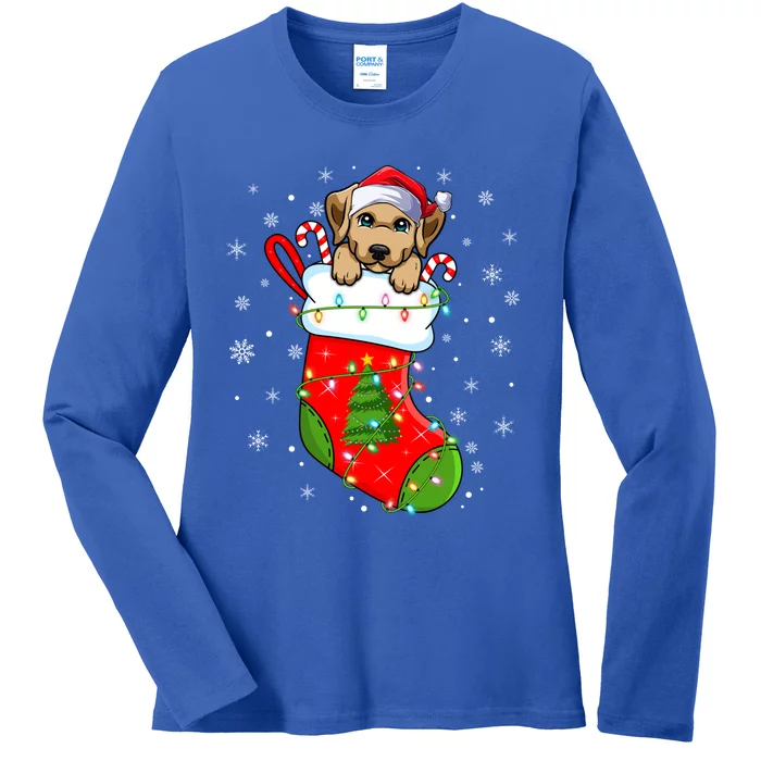 Labrador Retriever Dog In Christmas Socks Santa Xmas Meaningful Gift Ladies Long Sleeve Shirt