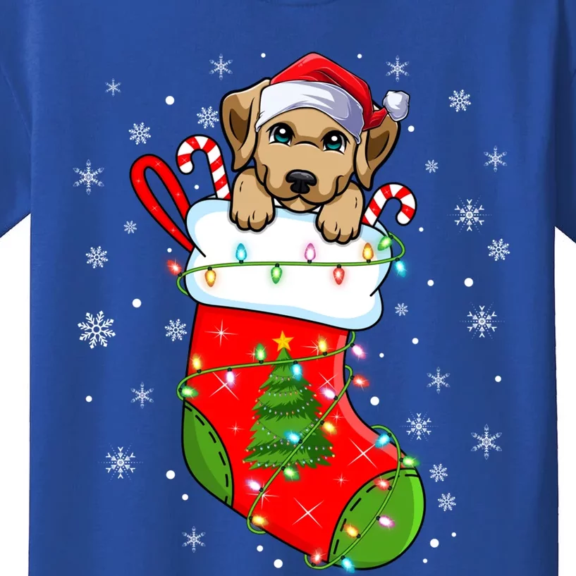 Labrador Retriever Dog In Christmas Socks Santa Xmas Meaningful Gift Kids T-Shirt