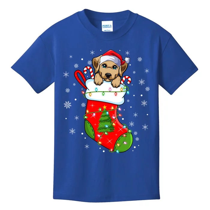 Labrador Retriever Dog In Christmas Socks Santa Xmas Meaningful Gift Kids T-Shirt