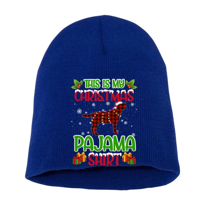 Labrador Retriever Dog Xmas Gift Meaningful Gift Short Acrylic Beanie