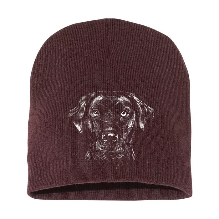 Labrador Retriever Dog Short Acrylic Beanie