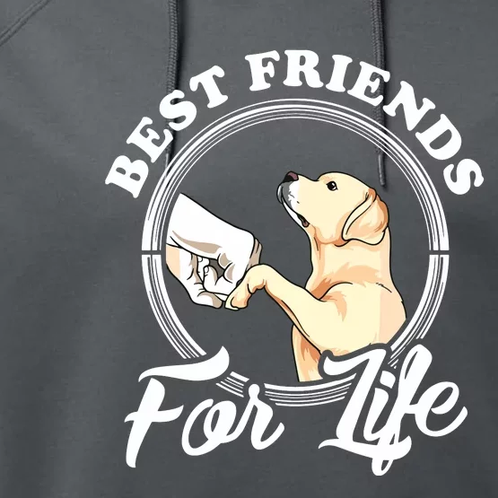 Labrador Retriever Design Funny Labrador Lovers Performance Fleece Hoodie