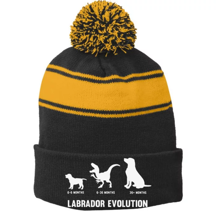 Labrador Retriever Evolution Design for a Labrador Owner Stripe Pom Pom Beanie