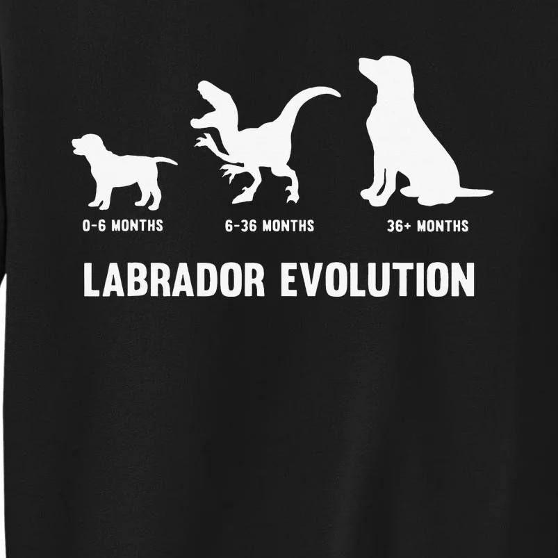 Labrador Retriever Evolution Design for a Labrador Owner