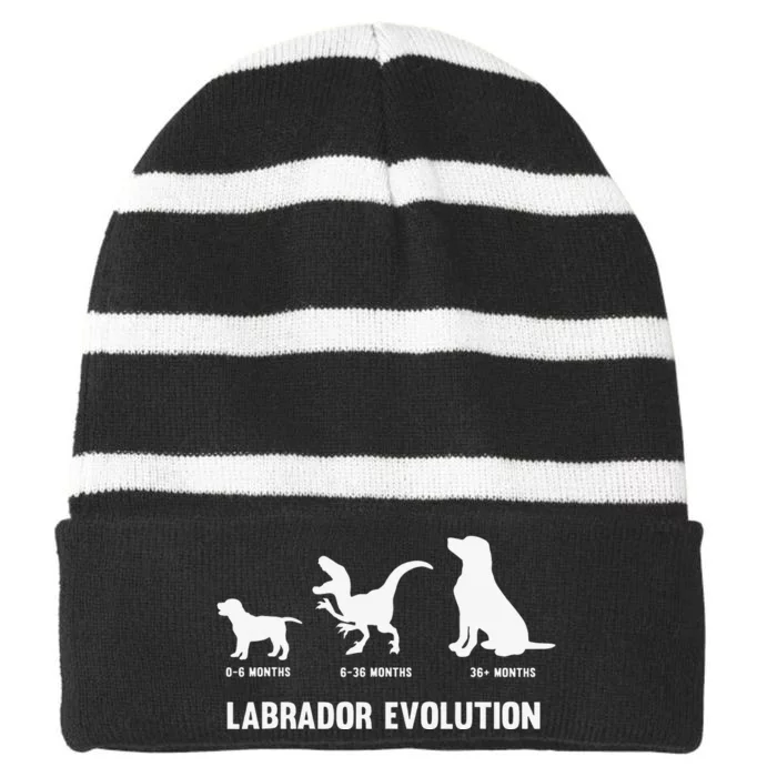 Labrador Retriever Evolution Design for a Labrador Owner Striped Beanie with Solid Band