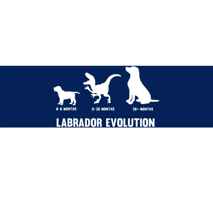 Labrador Retriever Evolution Design For A Labrador Owner Bumper Sticker