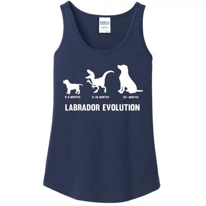 Labrador Retriever Evolution Design For A Labrador Owner Ladies Essential Tank