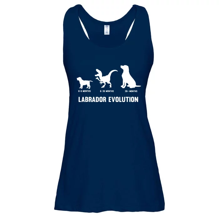 Labrador Retriever Evolution Design For A Labrador Owner Ladies Essential Flowy Tank