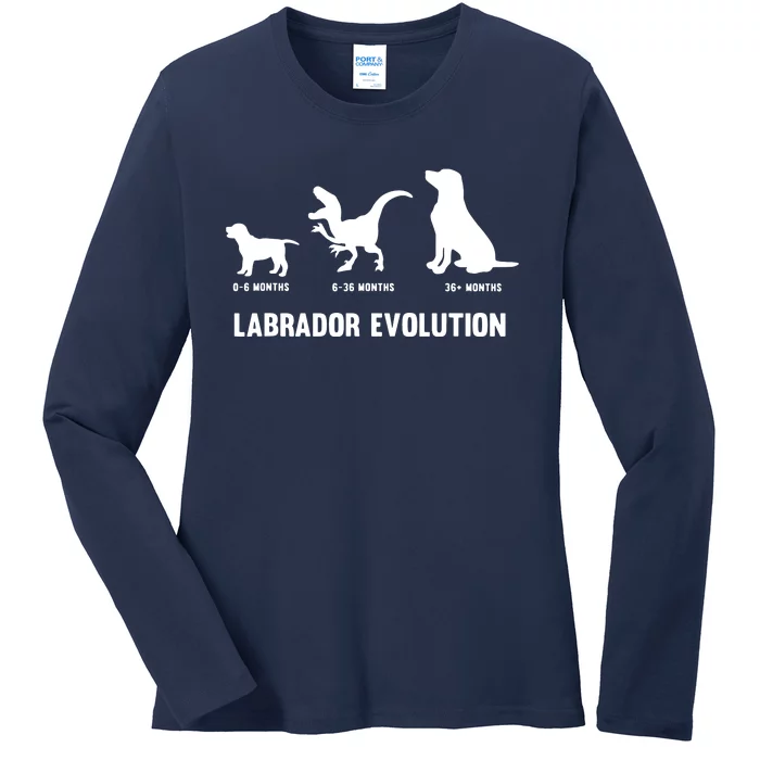 Labrador Retriever Evolution Design For A Labrador Owner Ladies Long Sleeve Shirt