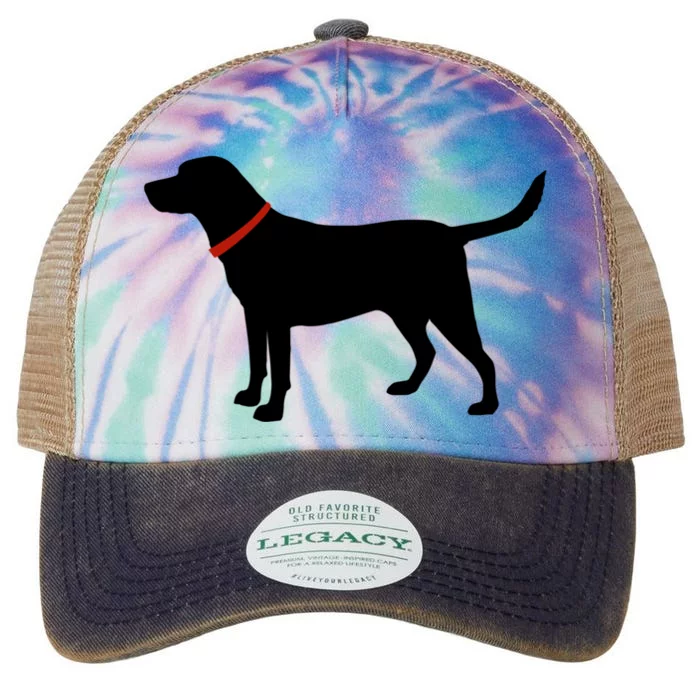 Labrador Retriever Funny Gift Black Lab Lover Legacy Tie Dye Trucker Hat