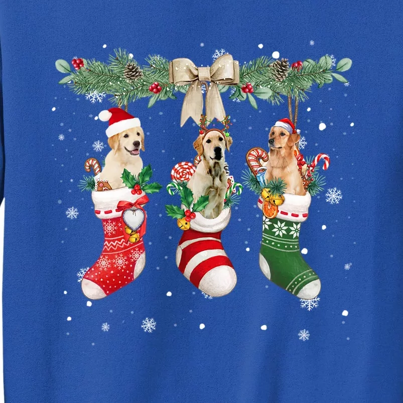 Labrador Retriever In Christmas Socks Labrador Retriever Gift Tall Sweatshirt