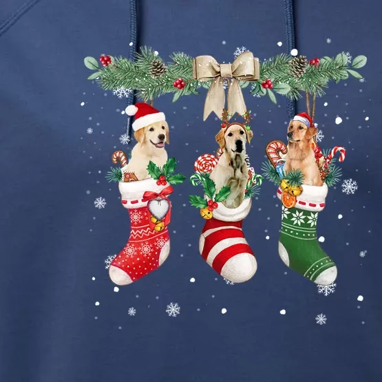 Labrador Retriever In Christmas Socks Labrador Retriever Gift Performance Fleece Hoodie