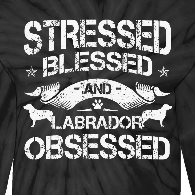 Labrador Retriever Lover Dog Owner Breed Lab Fur Mom Dad Tie-Dye Long Sleeve Shirt