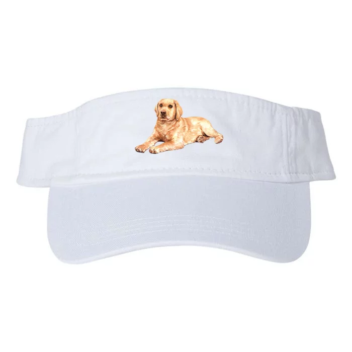 Labrador Retriever Valucap Bio-Washed Visor