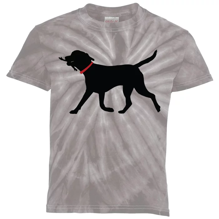 Labrador Retriever Play Fetch Black Lab Kids Tie-Dye T-Shirt