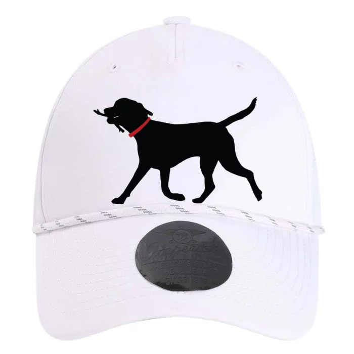 Labrador Retriever Play Fetch Black Lab Performance The Dyno Cap