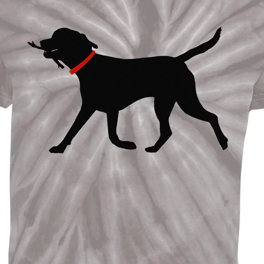 Labrador Retriever Play Fetch Black Lab Kids Tie-Dye T-Shirt