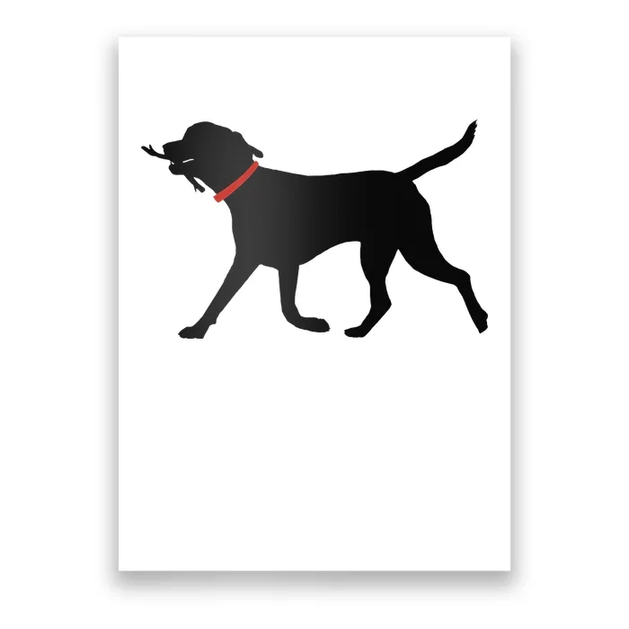 Labrador Retriever Play Fetch Black Lab Poster