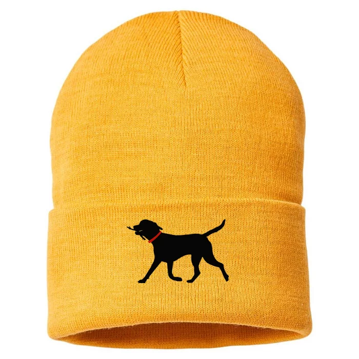 Labrador Retriever Play Fetch Black Lab Sustainable Knit Beanie