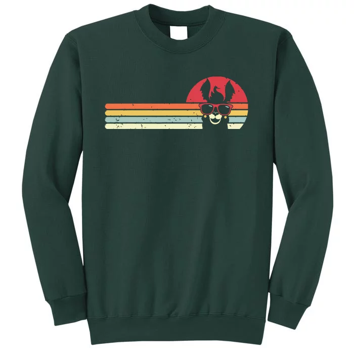 Llama Retro Style Alpaca Tall Sweatshirt