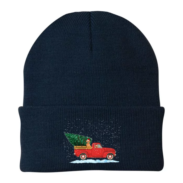 Labrador Retriever Vintage Red Pickup Truck Christmas Tree Cool Gift Knit Cap Winter Beanie