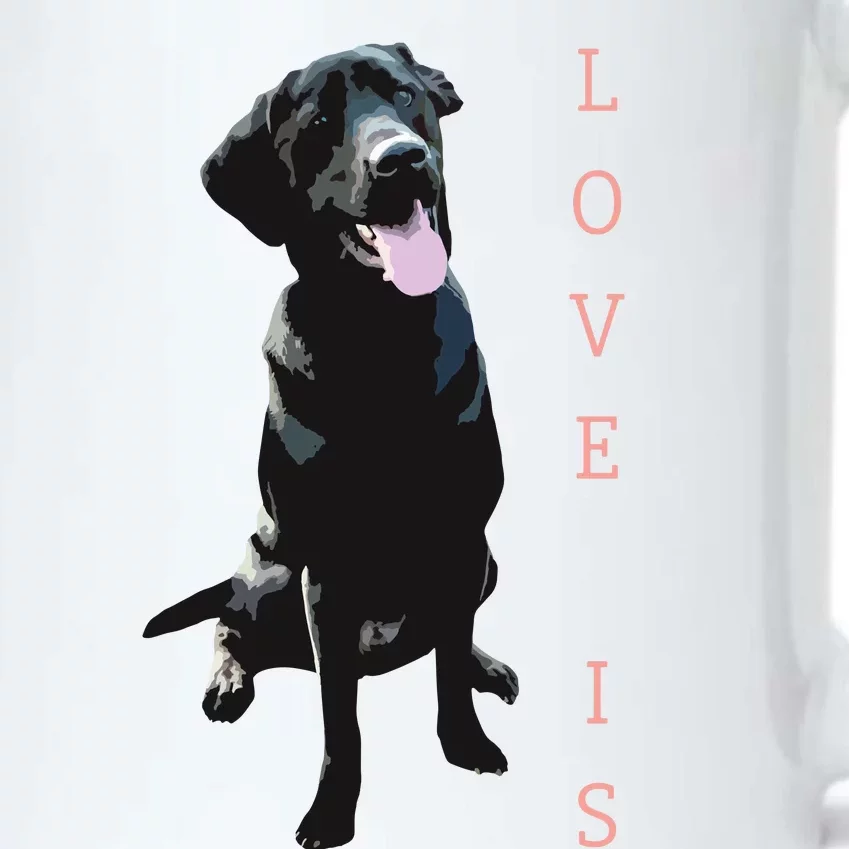 Labrador Retriever Women Men Kids Black Lab Dog Mom Black Color Changing Mug