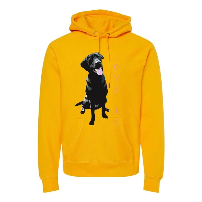 Labrador Retriever Women Men Kids Black Lab Dog Mom Premium Hoodie