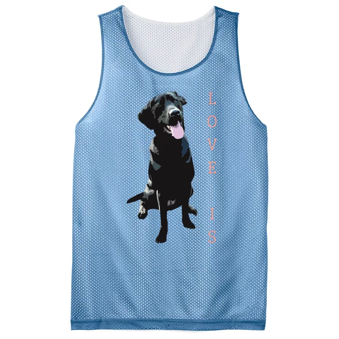 Labrador Retriever Women Men Kids Black Lab Dog Mom Mesh Reversible Basketball Jersey Tank