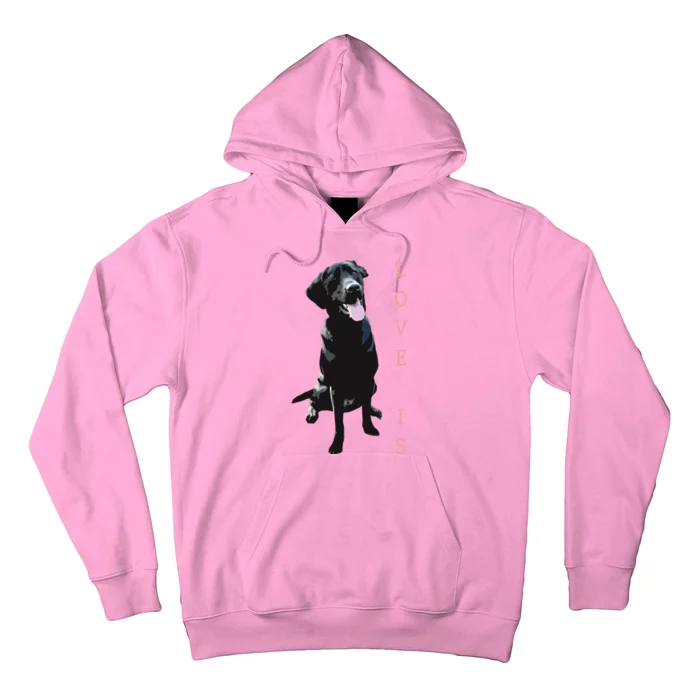 Labrador Retriever Women Men Kids Black Lab Dog Mom Hoodie