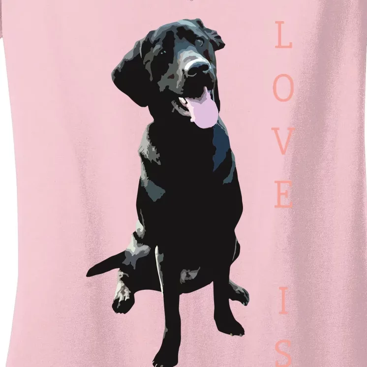 Labrador Retriever Women Men Kids Black Lab Dog Mom Women's V-Neck T-Shirt