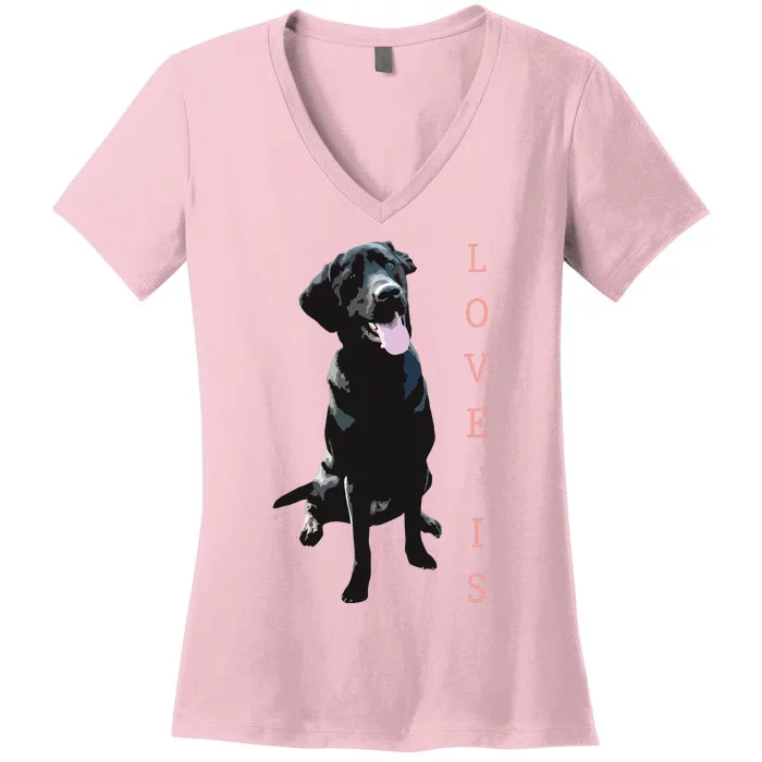 Labrador Retriever Women Men Kids Black Lab Dog Mom Women's V-Neck T-Shirt