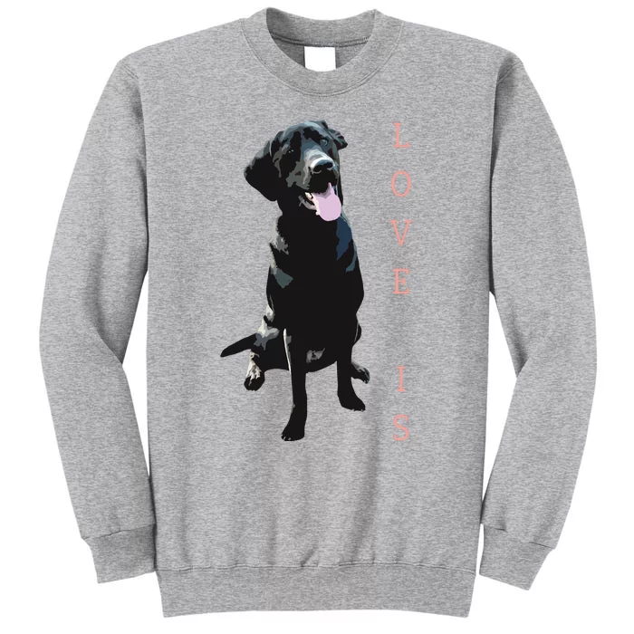 Labrador Retriever Women Men Kids Black Lab Dog Mom Tall Sweatshirt