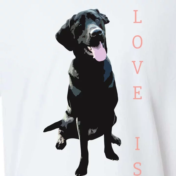 Labrador Retriever Women Men Kids Black Lab Dog Mom Sueded Cloud Jersey T-Shirt