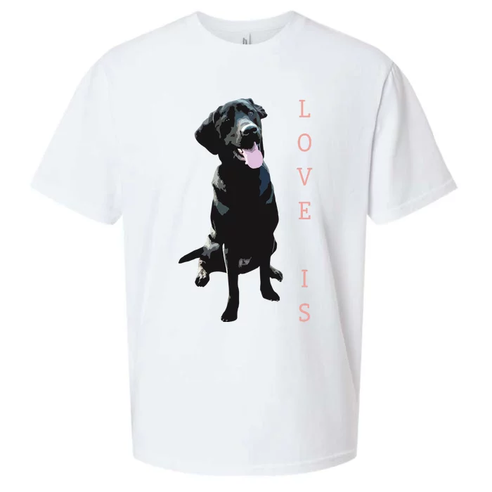 Labrador Retriever Women Men Kids Black Lab Dog Mom Sueded Cloud Jersey T-Shirt