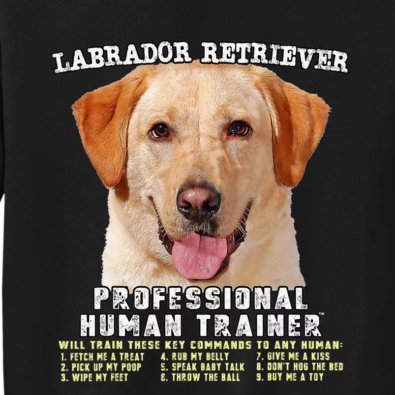 Labrador Retriever Yellow Lab Professional Human Trainer Sweatshirt