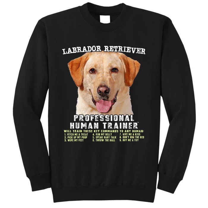 Labrador Retriever Yellow Lab Professional Human Trainer Sweatshirt