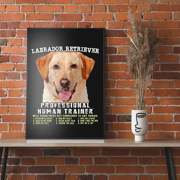 Labrador Retriever Yellow Lab Professional Human Trainer Poster