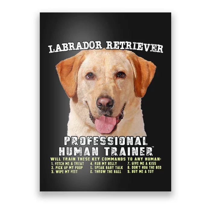 Labrador Retriever Yellow Lab Professional Human Trainer Poster