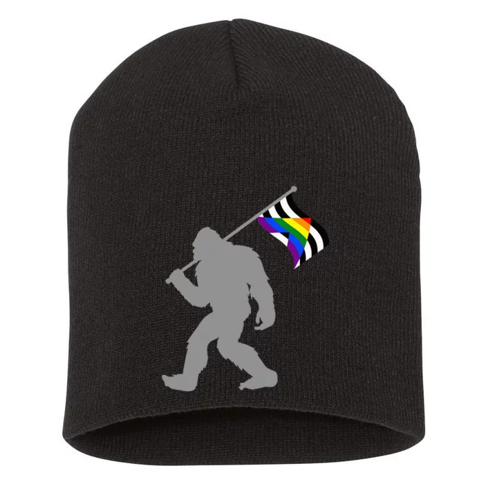 LGBTQ Straight Alliance Pride Flag On Straight Gay Ally Short Acrylic Beanie