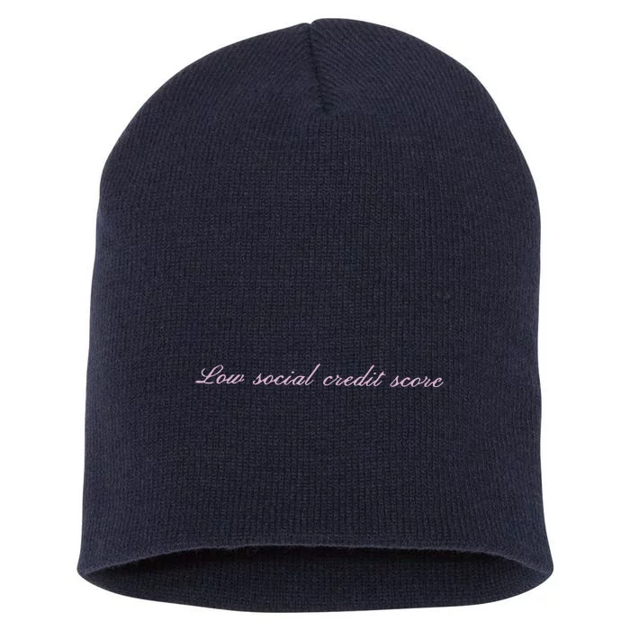 Low Social Credit Score Short Acrylic Beanie