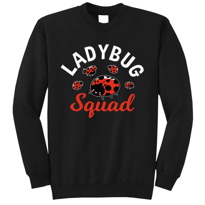 Ladybug Squad Costume  Ladybug Squad Sweatshirt