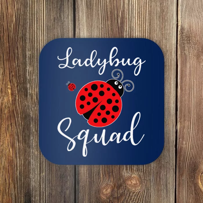 Ladybug Squad Coaster