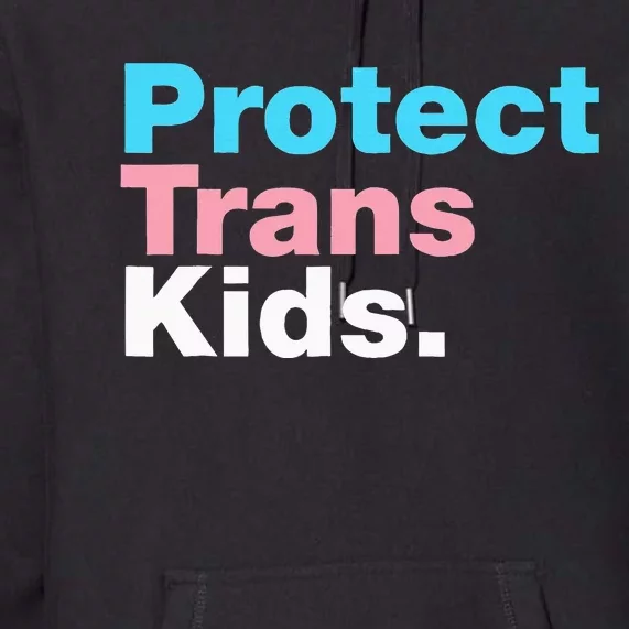 Lgbt Support Protect Tran Lgbt Pride Premium Hoodie