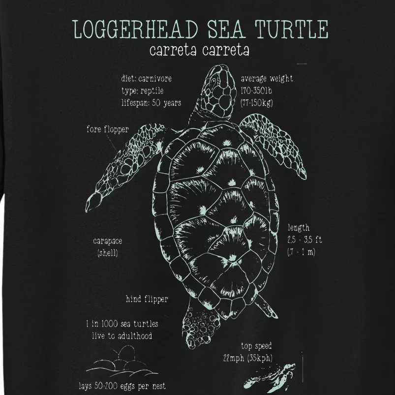 Loggerhead Sea Turtle Anatomy Gift Marine Biologist Sweatshirt