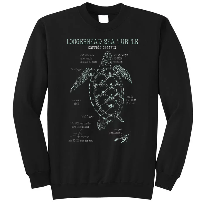 Loggerhead Sea Turtle Anatomy Gift Marine Biologist Sweatshirt