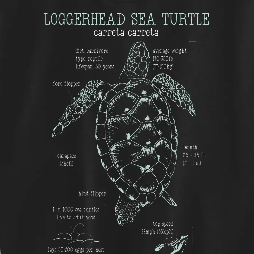 Loggerhead Sea Turtle Anatomy Gift Marine Biologist Kids Sweatshirt