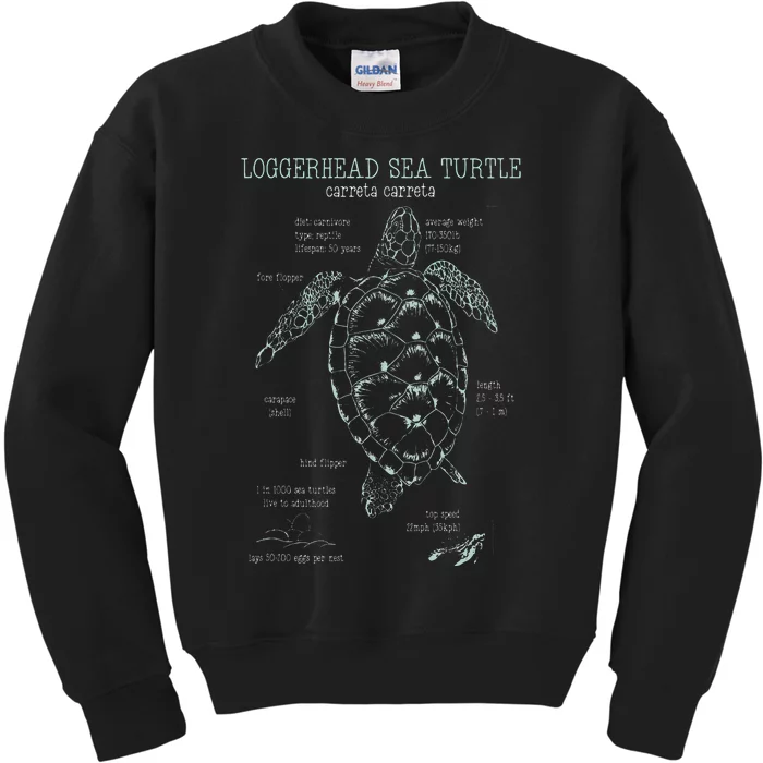 Loggerhead Sea Turtle Anatomy Gift Marine Biologist Kids Sweatshirt