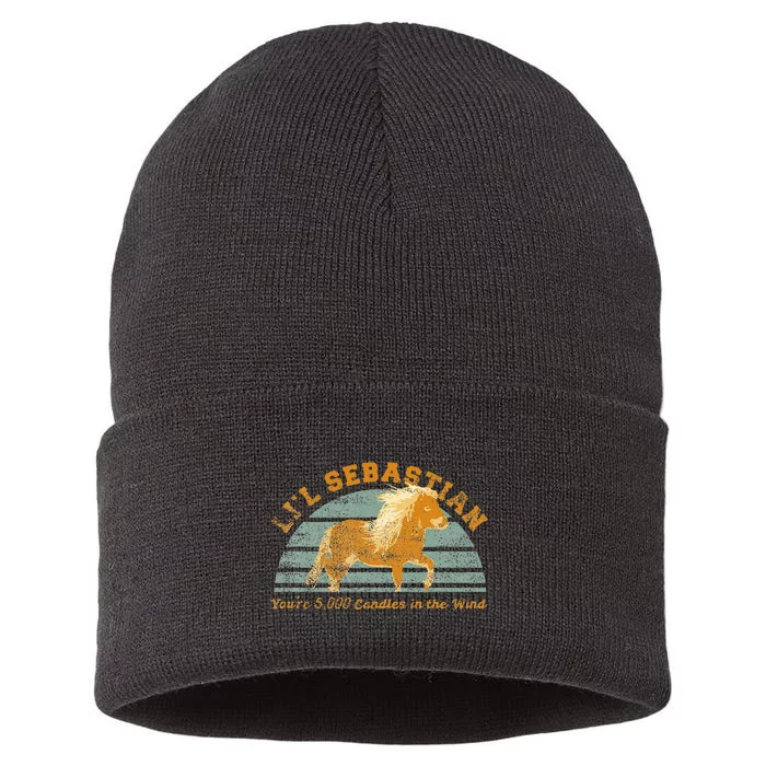 LiL Sebastian YouRe 5000 Candles In The Wind Horse Fan Sustainable Knit Beanie