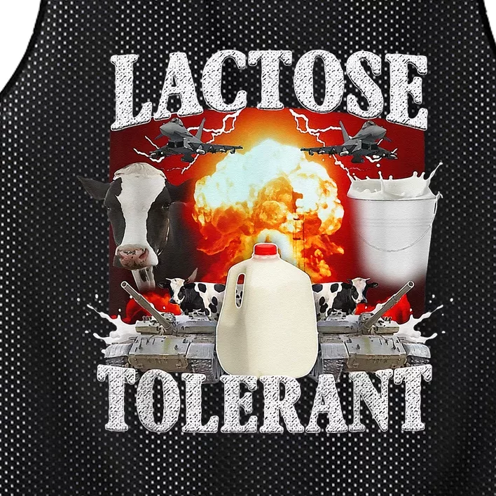 Lactose Tolerant Mesh Reversible Basketball Jersey Tank